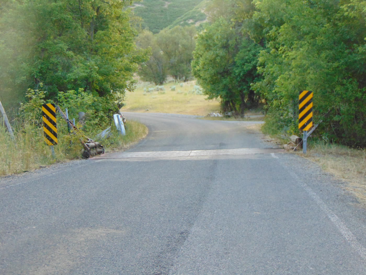 Cattle guard installed flush with a paved road in a Utah canyon — rails level with the asphalt on both approaches