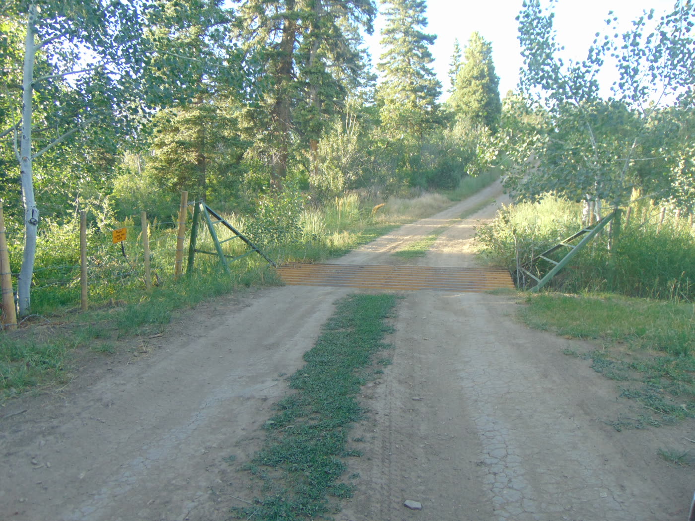 Cattle guard on a forest road with angled wing panels tying both ends into the fence line